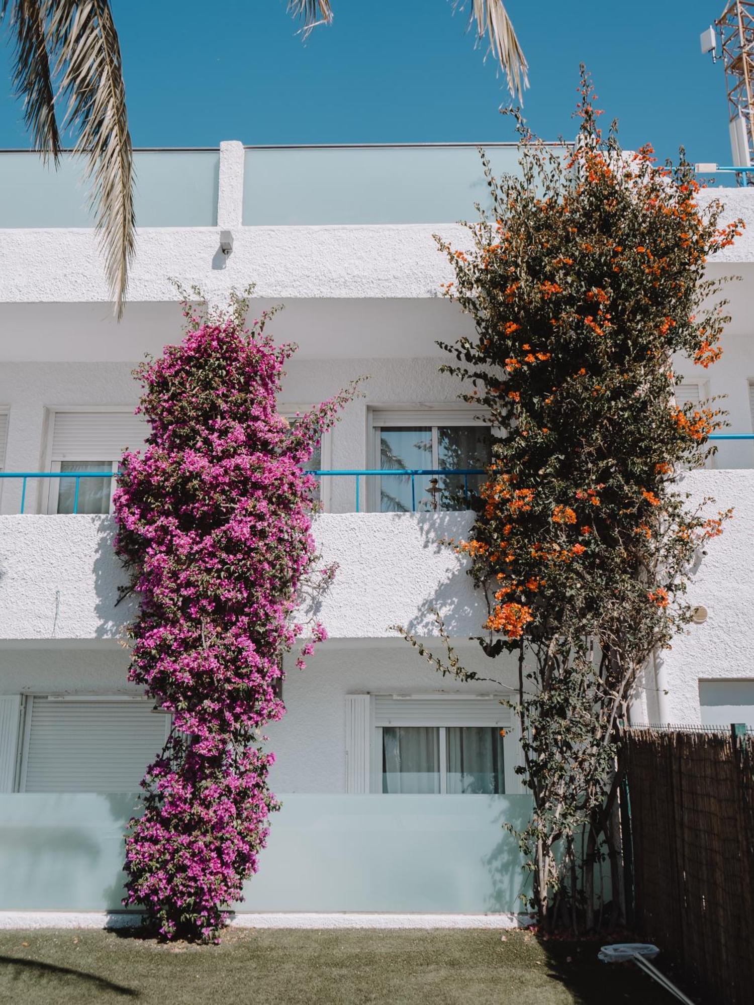 Hostal Las Gaviotas Del Cabo サン・ホセ エクステリア 写真