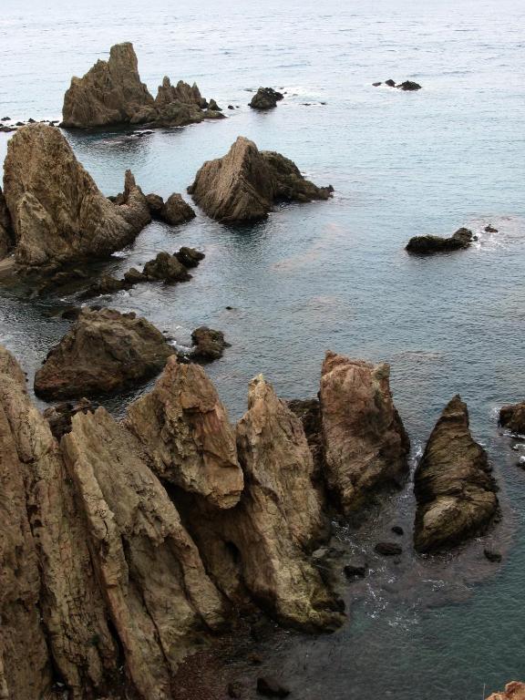 Hostal Las Gaviotas Del Cabo サン・ホセ エクステリア 写真