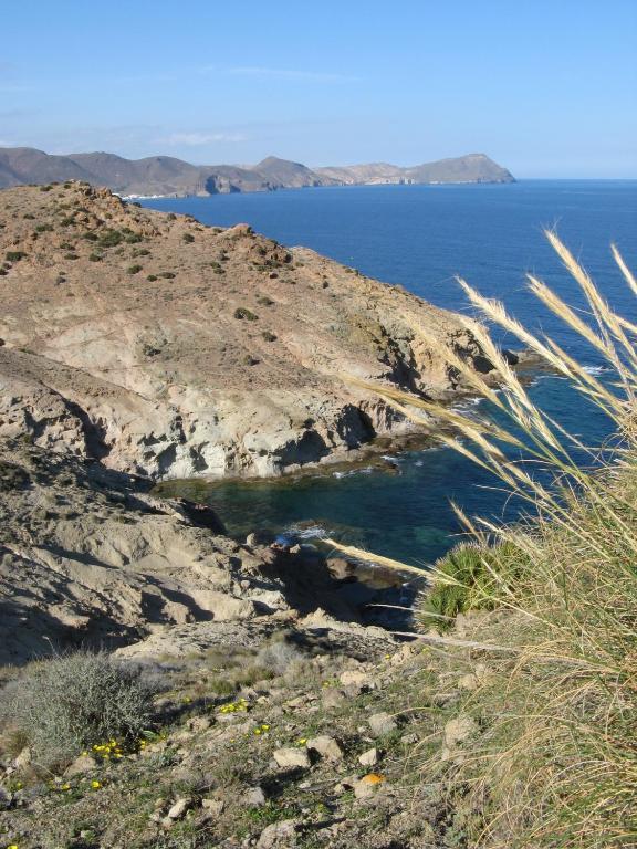 Hostal Las Gaviotas Del Cabo サン・ホセ エクステリア 写真